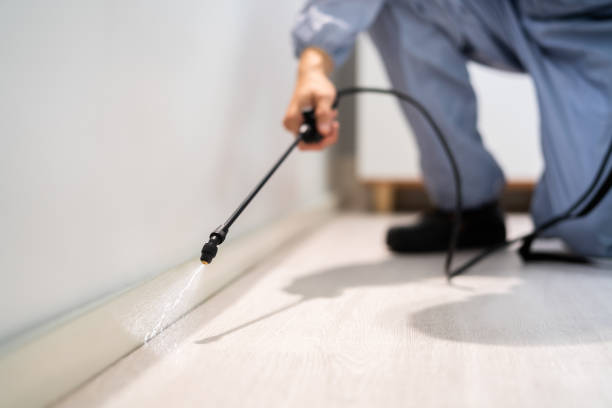 Licensed Cockroach Control service in Holly, MI - Nex Pest Control