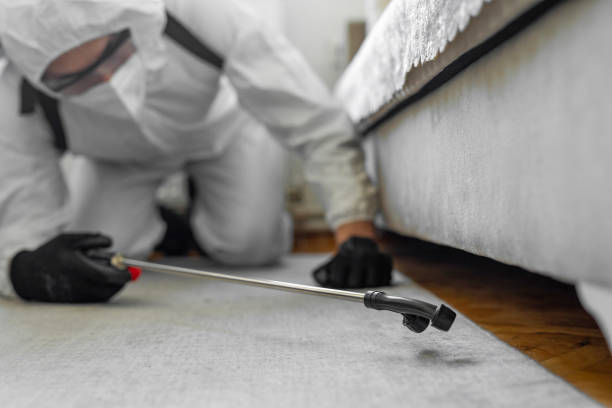 Professional Cockroach Control technician working in Holly, MI