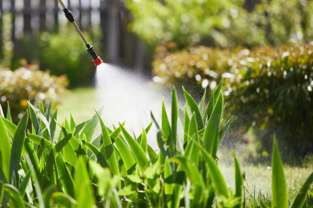24/7 Emergency Cockroach Control experts in Holly, MI