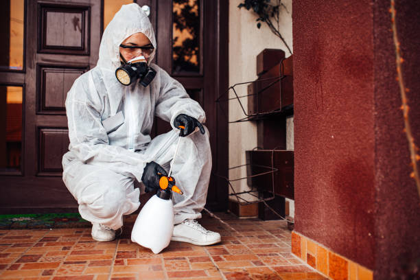 Reliable Cockroach Control contractor in Holly, MI by Nex Pest Control