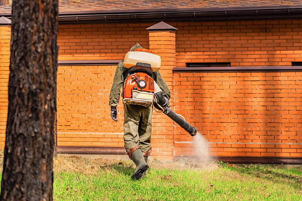 Top rated local Cockroach Control specialists in Holly, MI